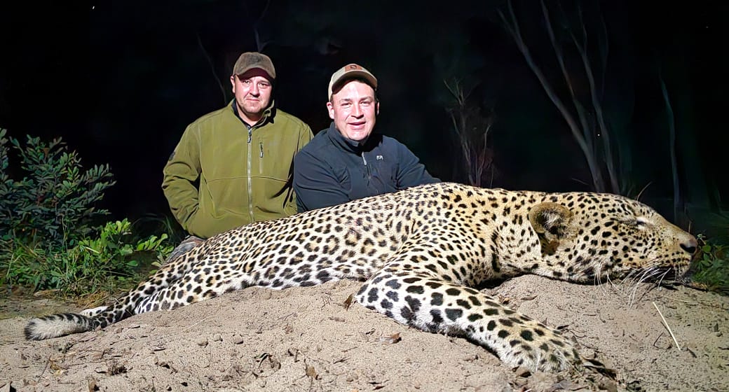 Ranchero Leopard Hunting