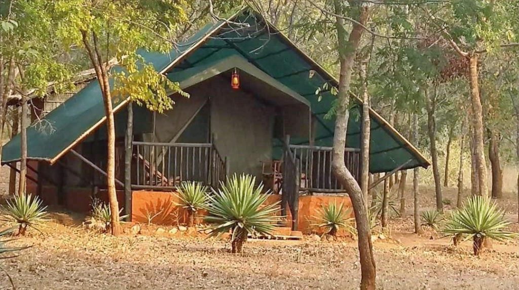 Mozambique Hunting Tented Camp