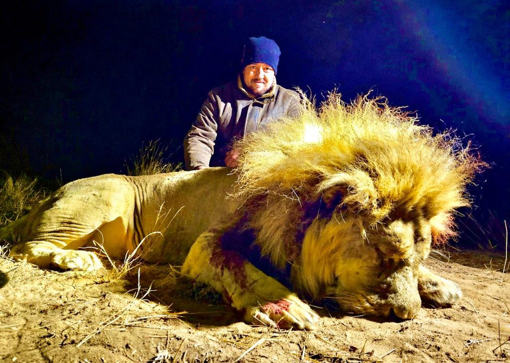 Lion Hunting Mozambique